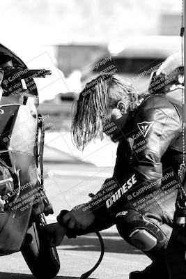 media/Mar-13-2022-SoCal Trackdays (Sun) [[112cf61d7e]]/Around the Pits/